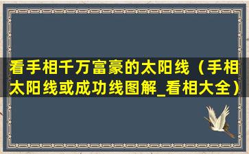 看手相千万富豪的太阳线（手相 太阳线或成功线图解_看相大全）